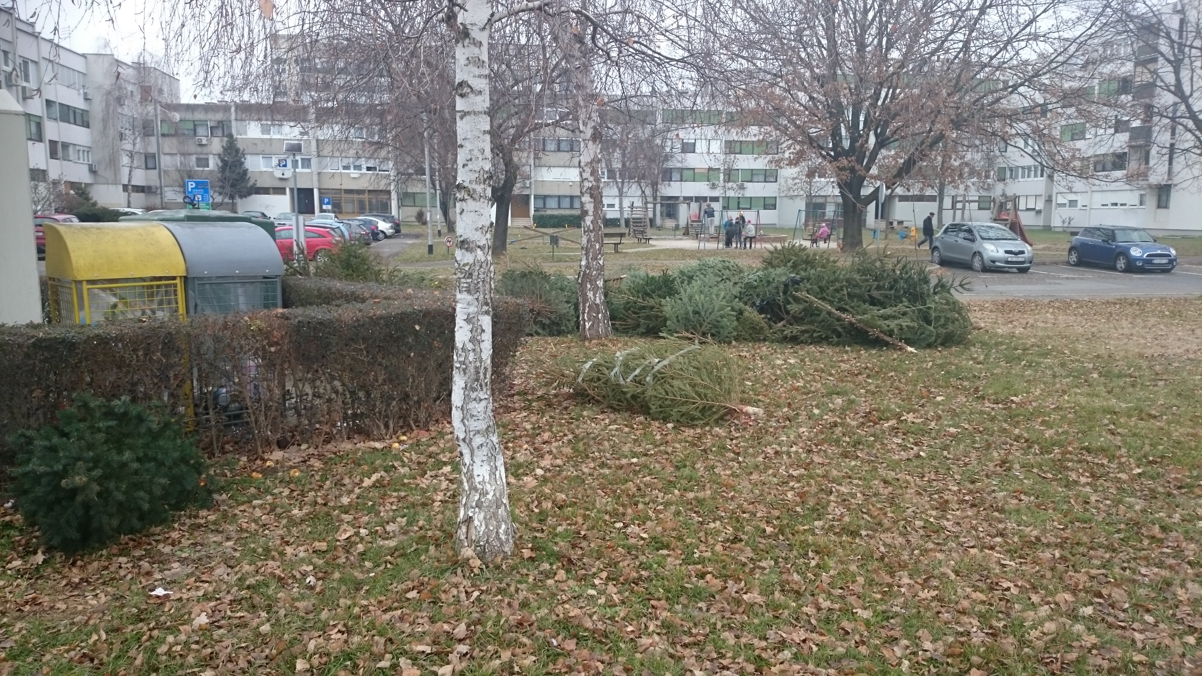 Obavijest o sakupljanju božićnih drvaca (3)