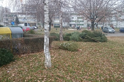 Obavijest o sakupljanju božićnih drvaca (2)